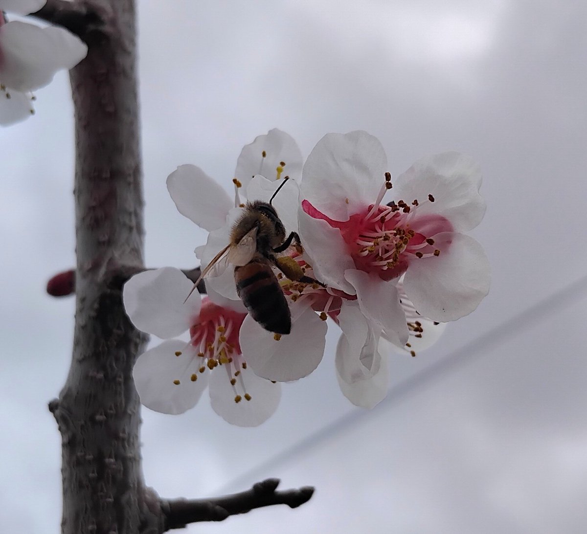 Yurt İyesi 🇹🇷 tweet media