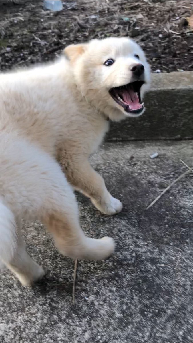 소금이언니 김모란 tweet media