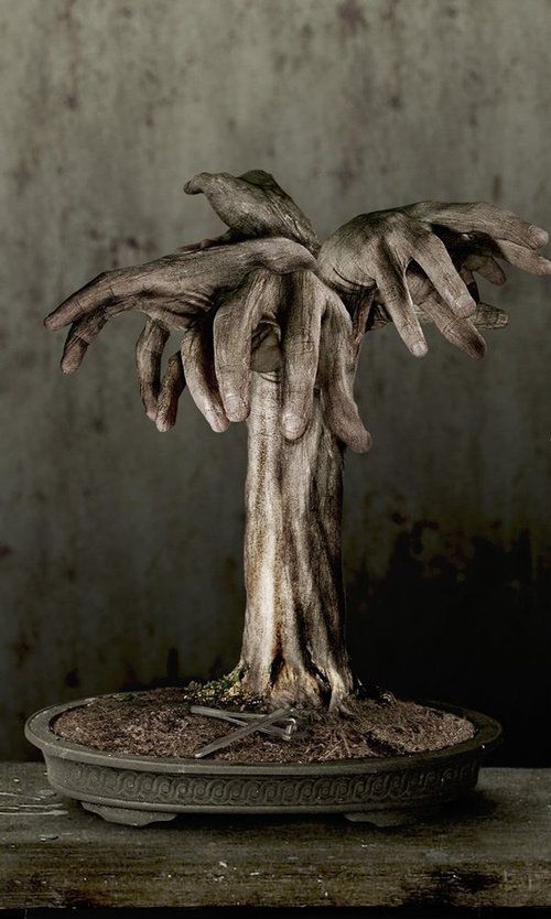 Rubedo Nihil tweet media