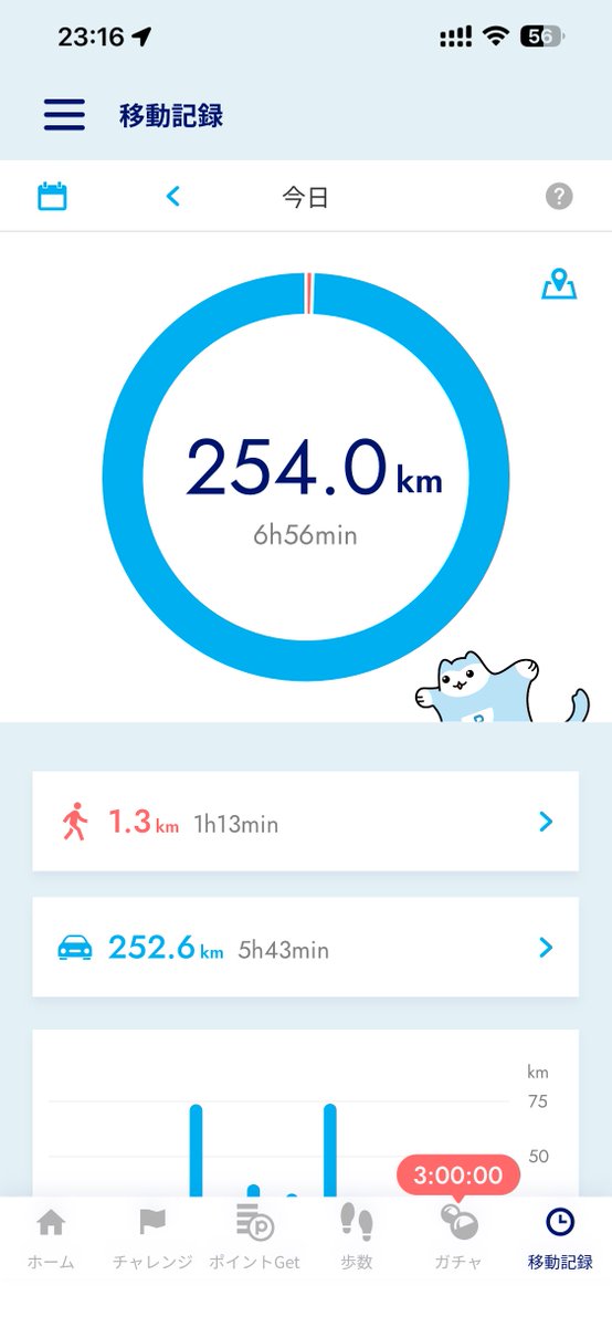 ⛩️神馬シン（じんま しん）🐎🐈 tweet media