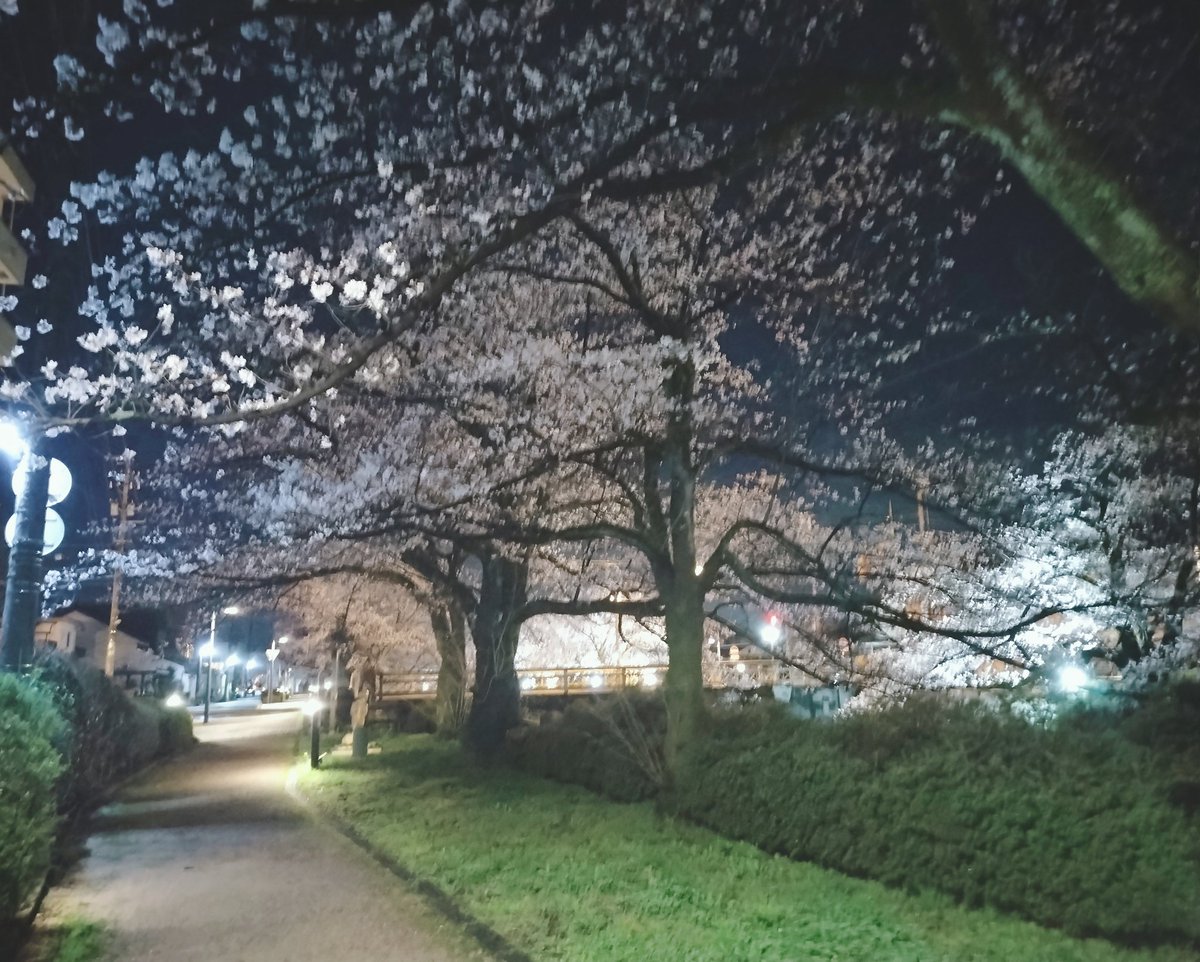 ときみこ🍫 tweet media