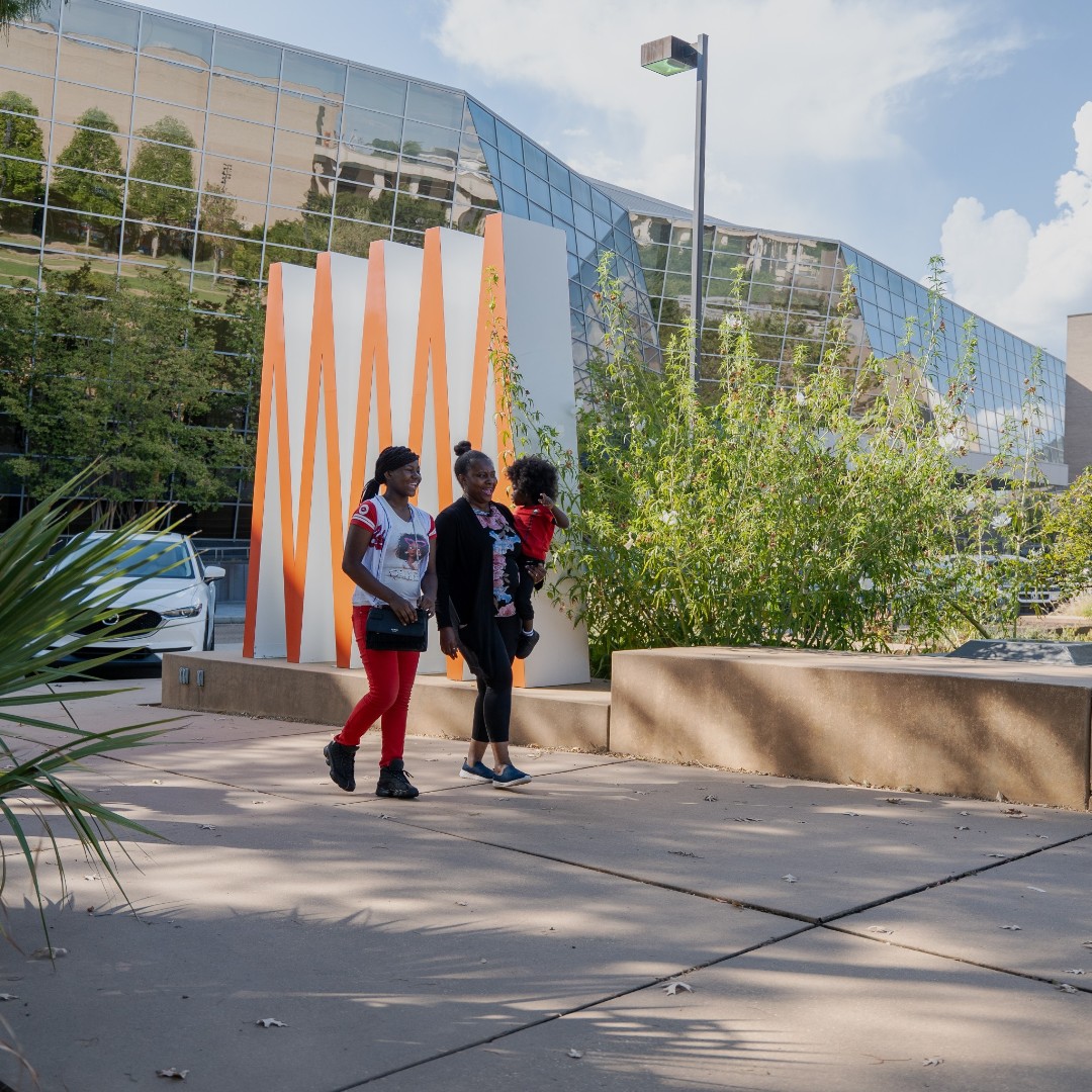 MS Museum of Art tweet media