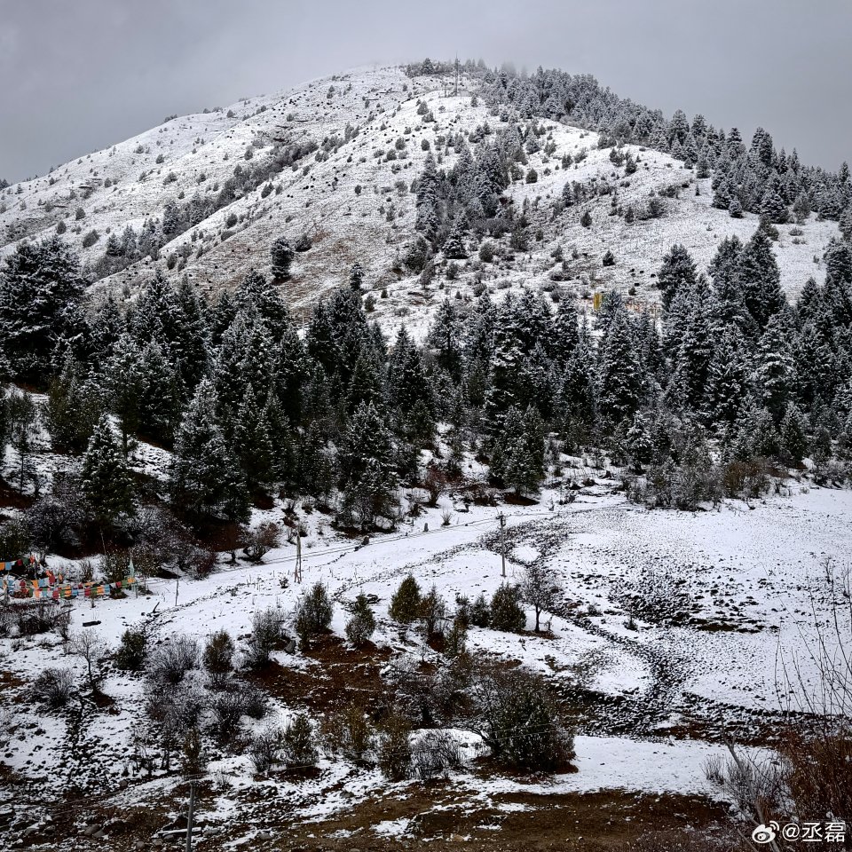 𝙛𝙡𝙤𝙤 ★ tweet media