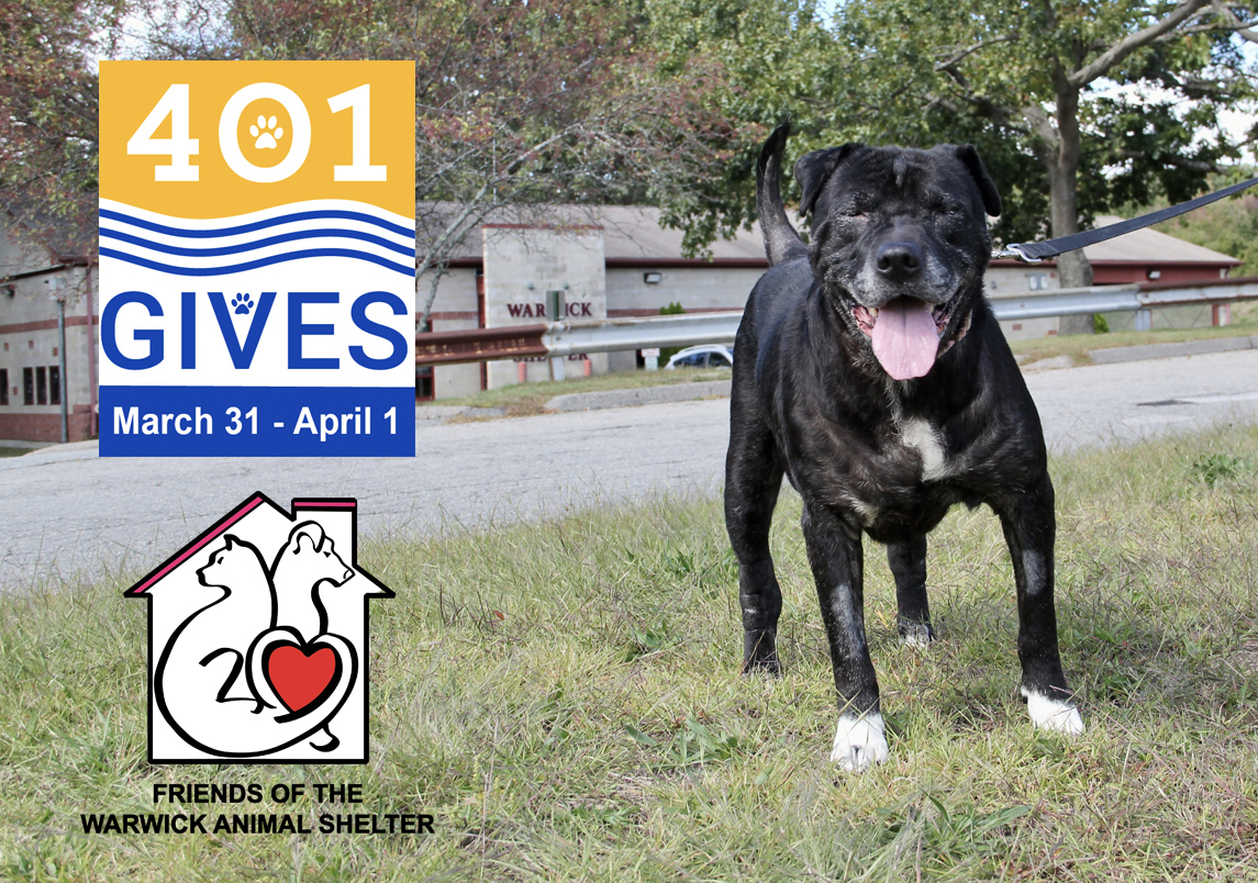 Friends of Warwick Animal Shelter tweet media