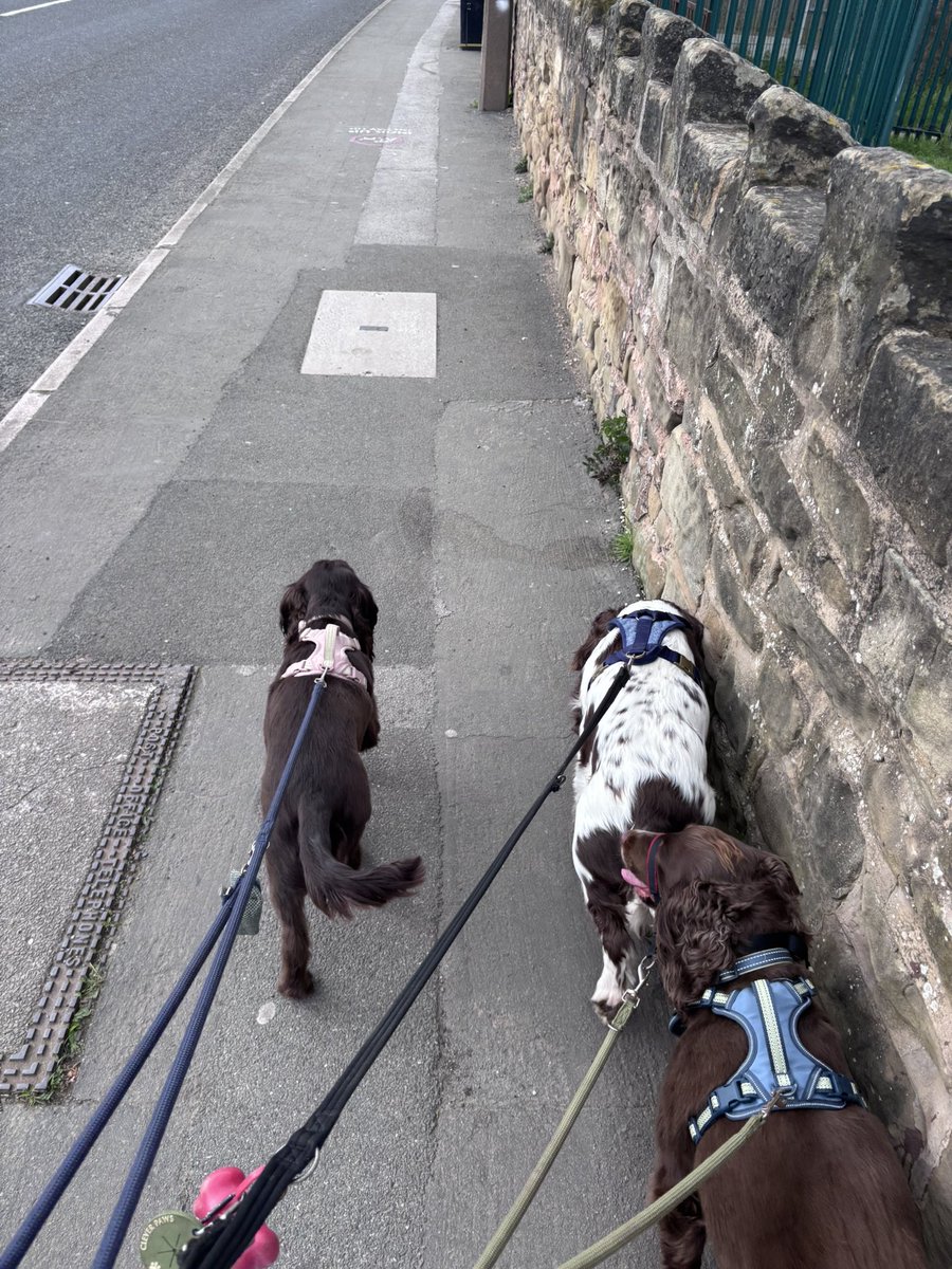 Emily 🎄 tweet media