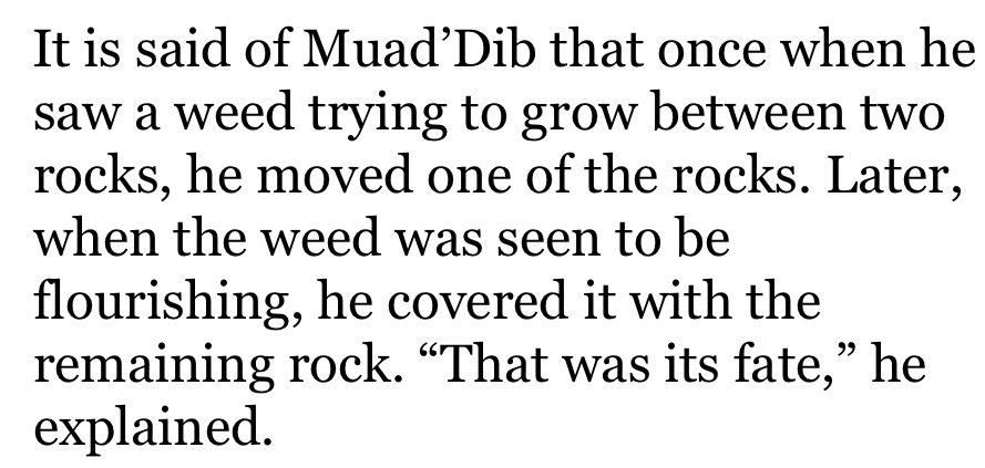 Low-Poly Paul Atreides tweet media