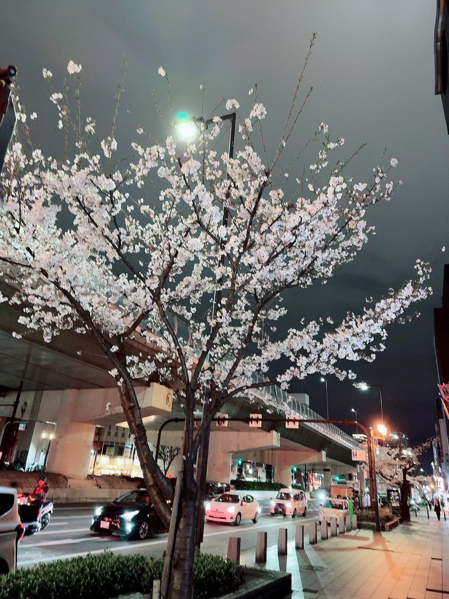 まさ.kingten tweet media