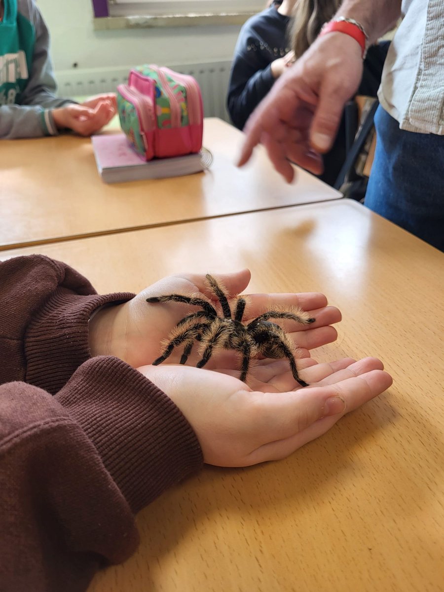 Reserva de Biosfera Mariñas Coruñesas tweet media