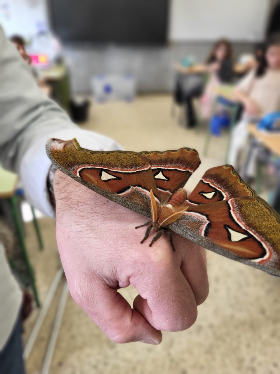 Reserva de Biosfera Mariñas Coruñesas tweet media