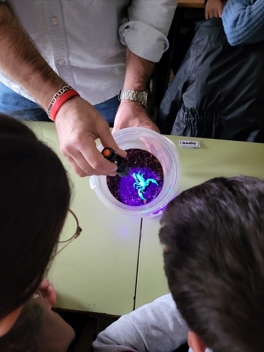 Reserva de Biosfera Mariñas Coruñesas tweet media