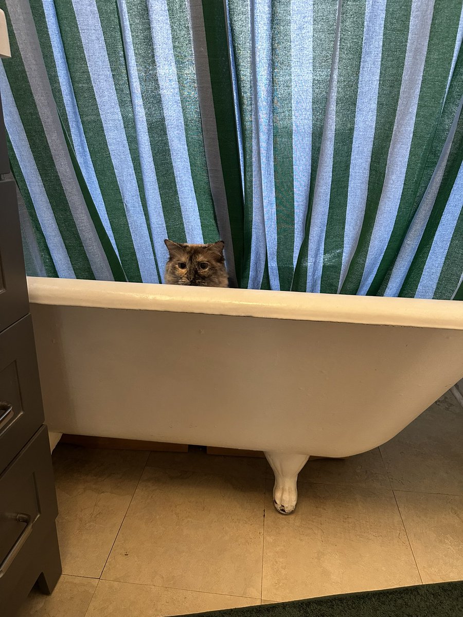 waffles 🧇 tweet media