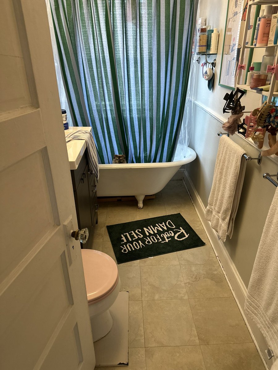 waffles 🧇 tweet media