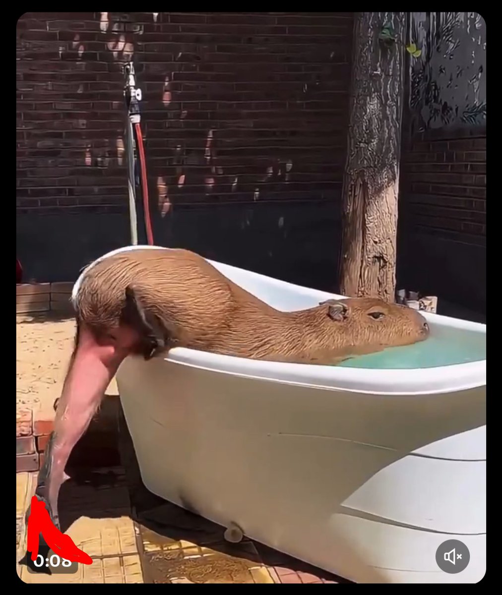 🩶𝒞𝓇𝒾𝑒𝓈 𝟦 𝐿𝒾𝑒𝓈🩶 tweet media