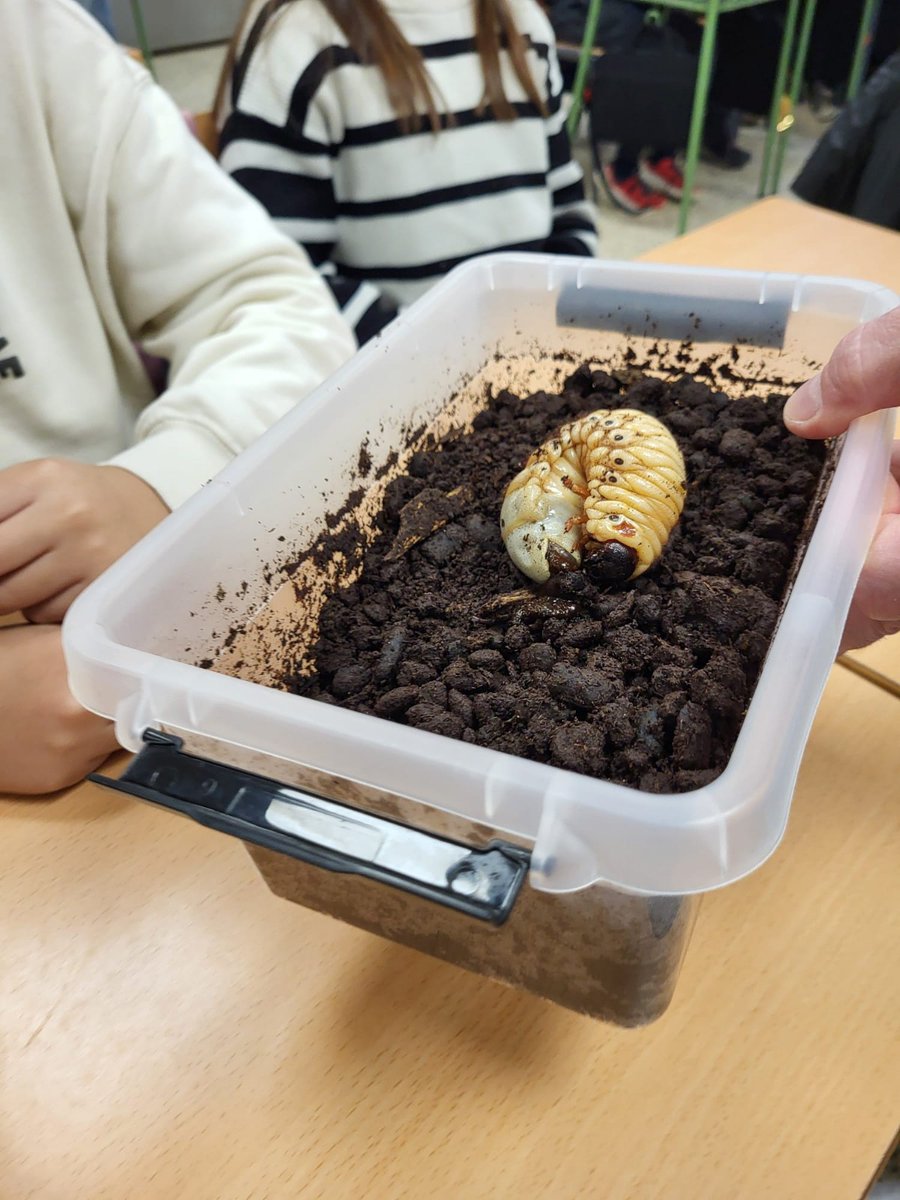 Reserva de Biosfera Mariñas Coruñesas tweet media