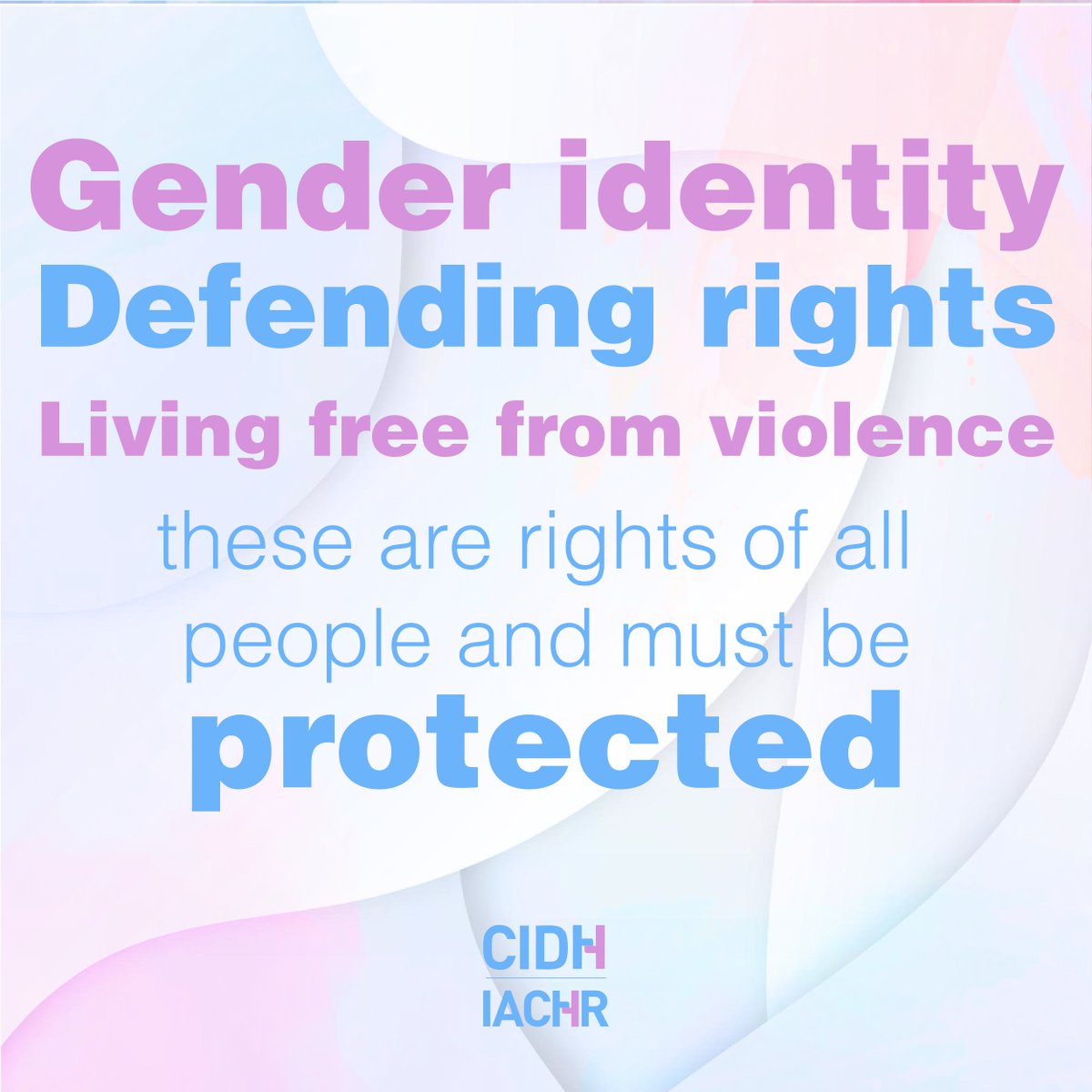 CIDH - IACHR tweet media