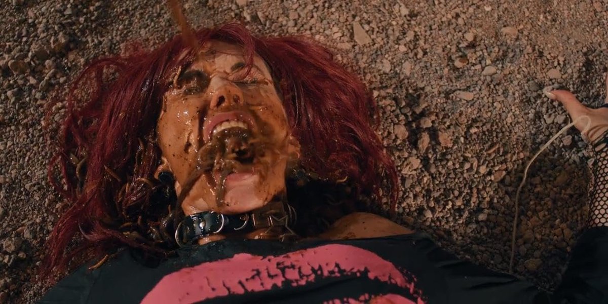 Alerta Locadoras do Terror tweet media