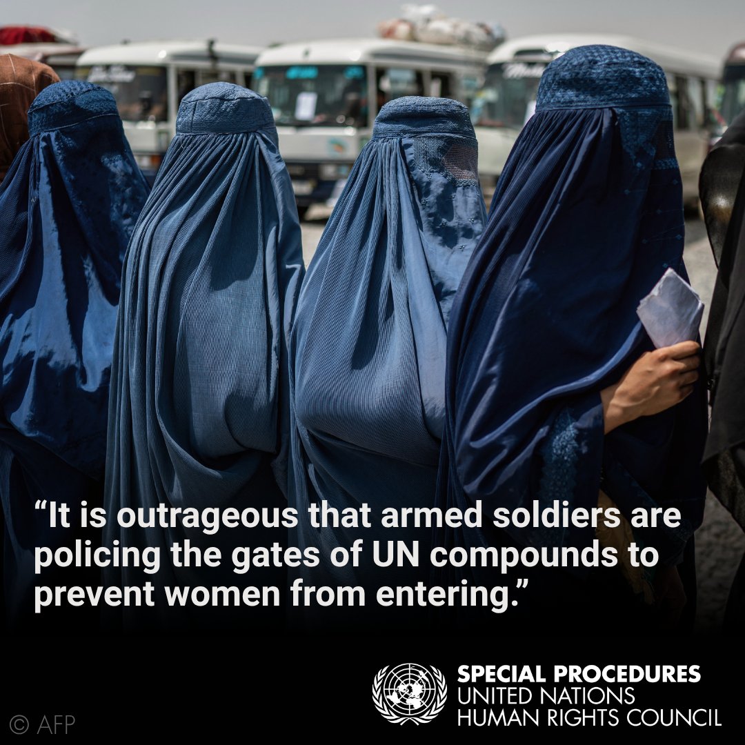 UN Special Procedures tweet media