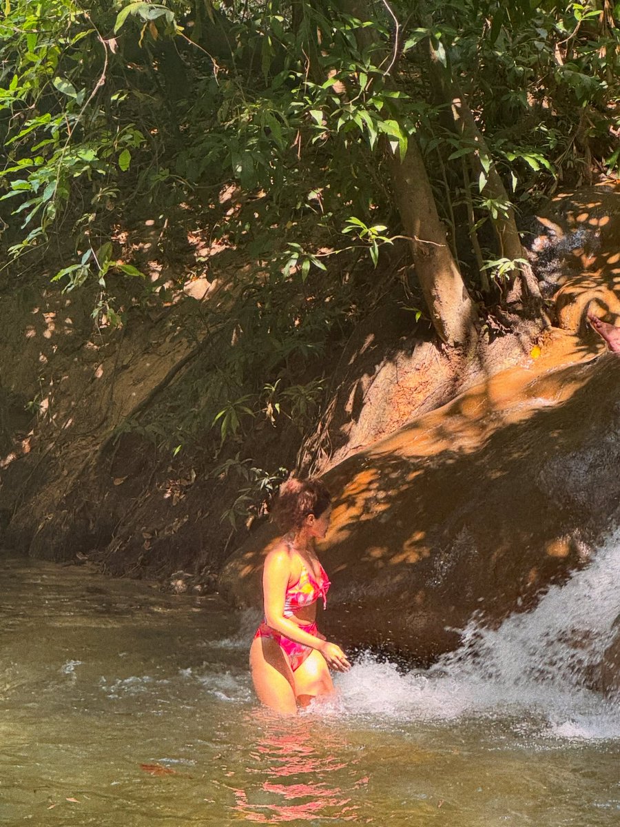 THE HULK tweet media