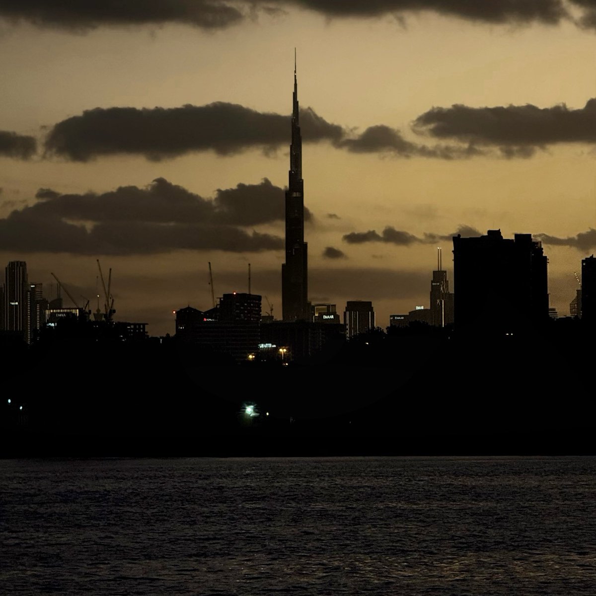 ᓚᘏᗢ tweet media