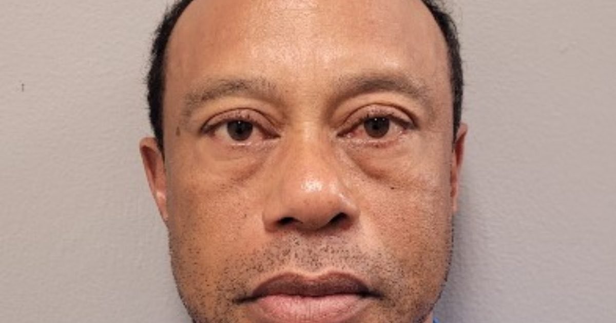 PiolyUpdates tweet media