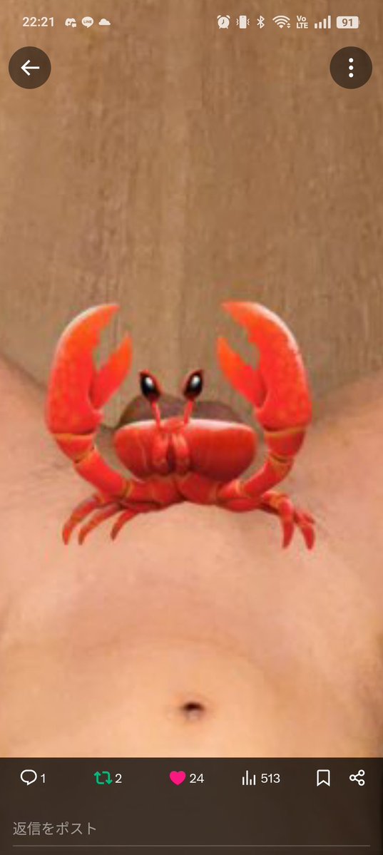 おばちやん🦛 tweet media