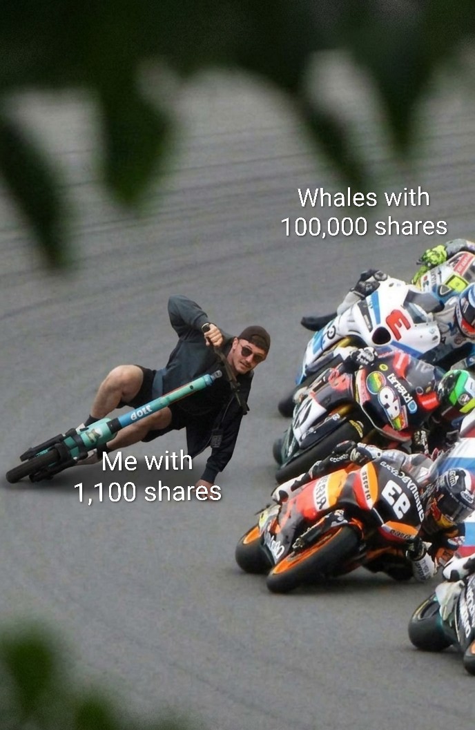 𝙁𝙍𝘼𝙎𝙀𝙍 tweet media