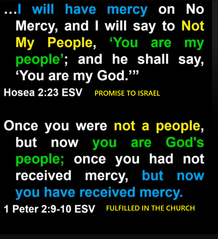 D51Commander tweet media