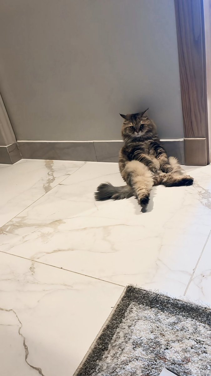 Aziz Alqahtani 🆇 tweet media