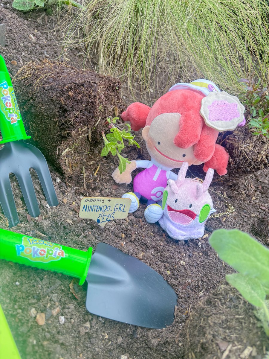 -ˋˏ Junna ˎˊ- tweet media