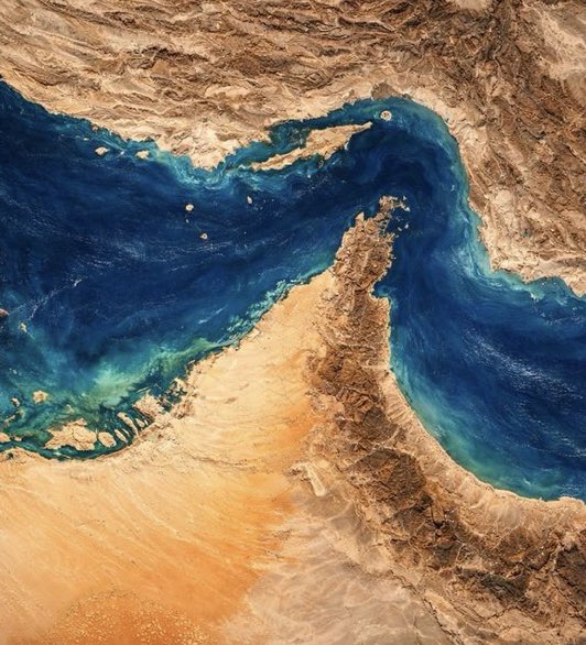 Traders e Inversionistas Mx tweet media