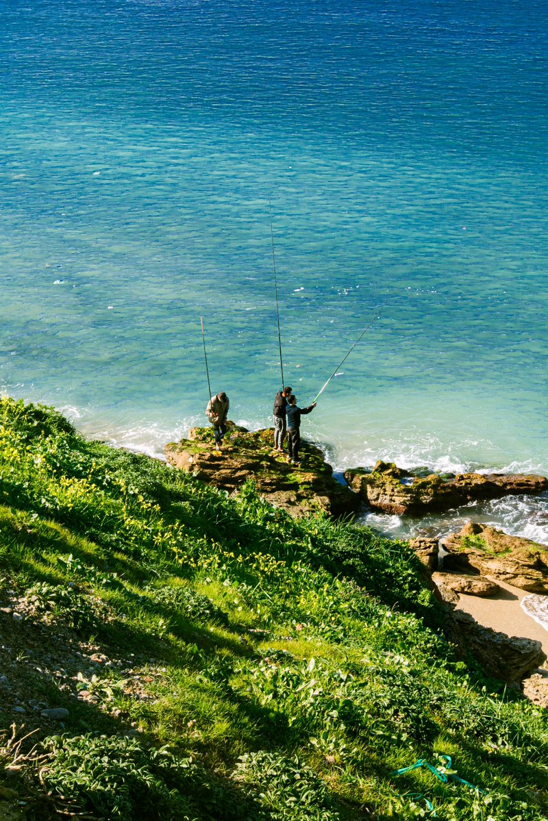 أكرم tweet media