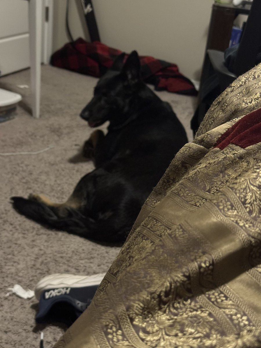 pizza time tweet media