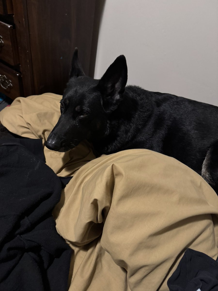 pizza time tweet media