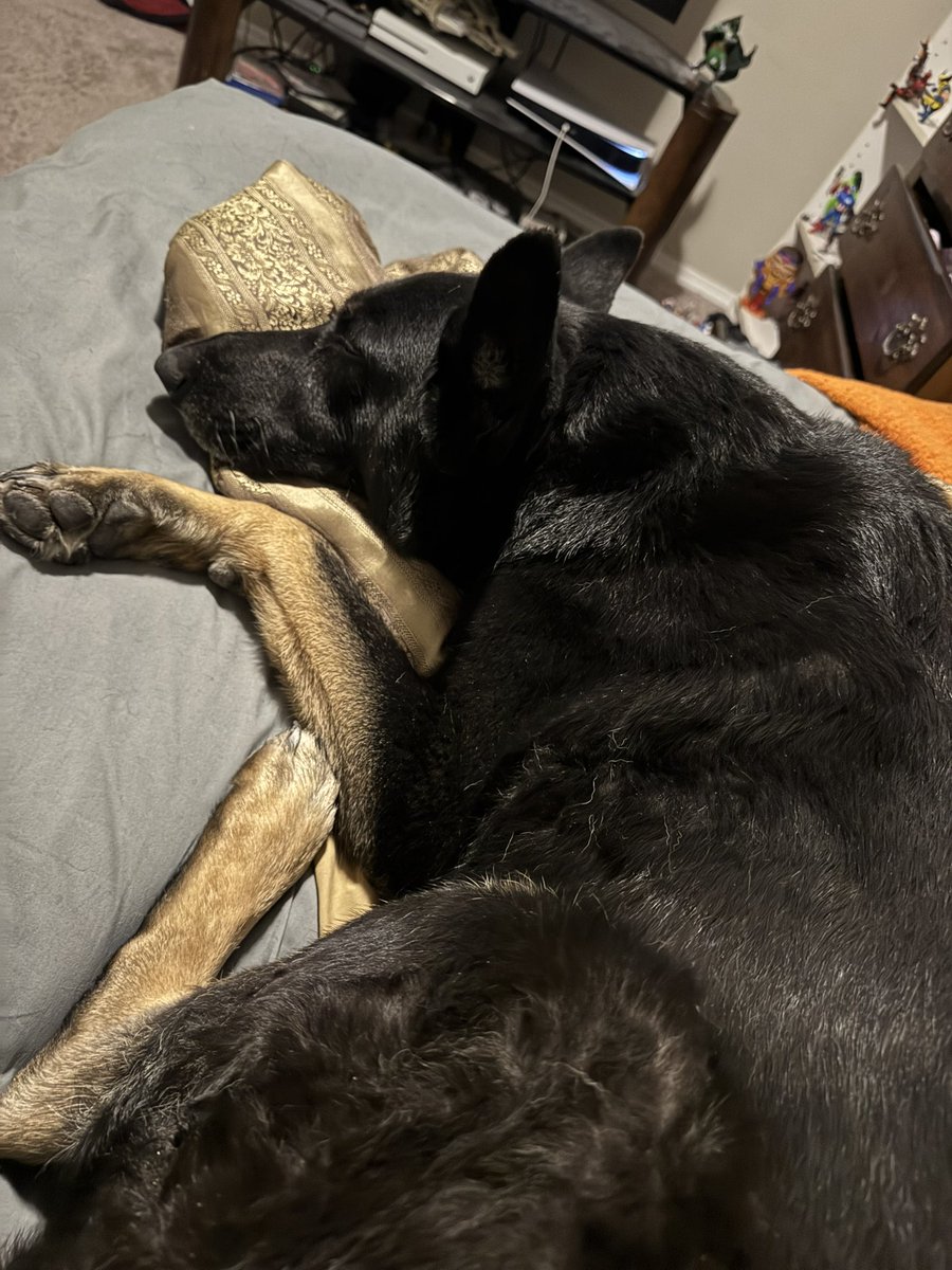 pizza time tweet media