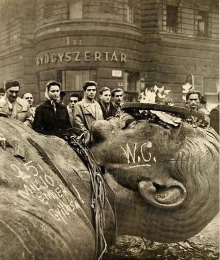 Marcello N tweet media