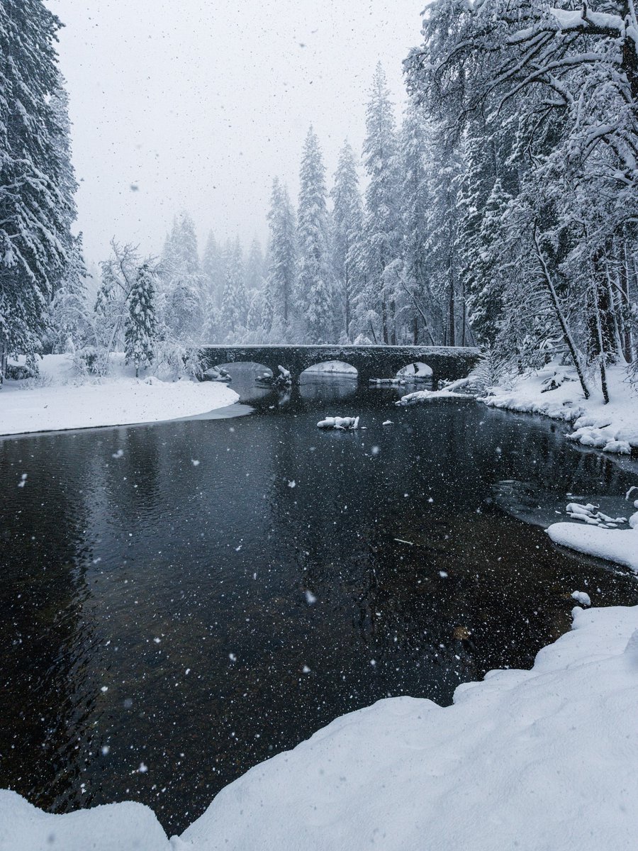 Purely Green tweet media