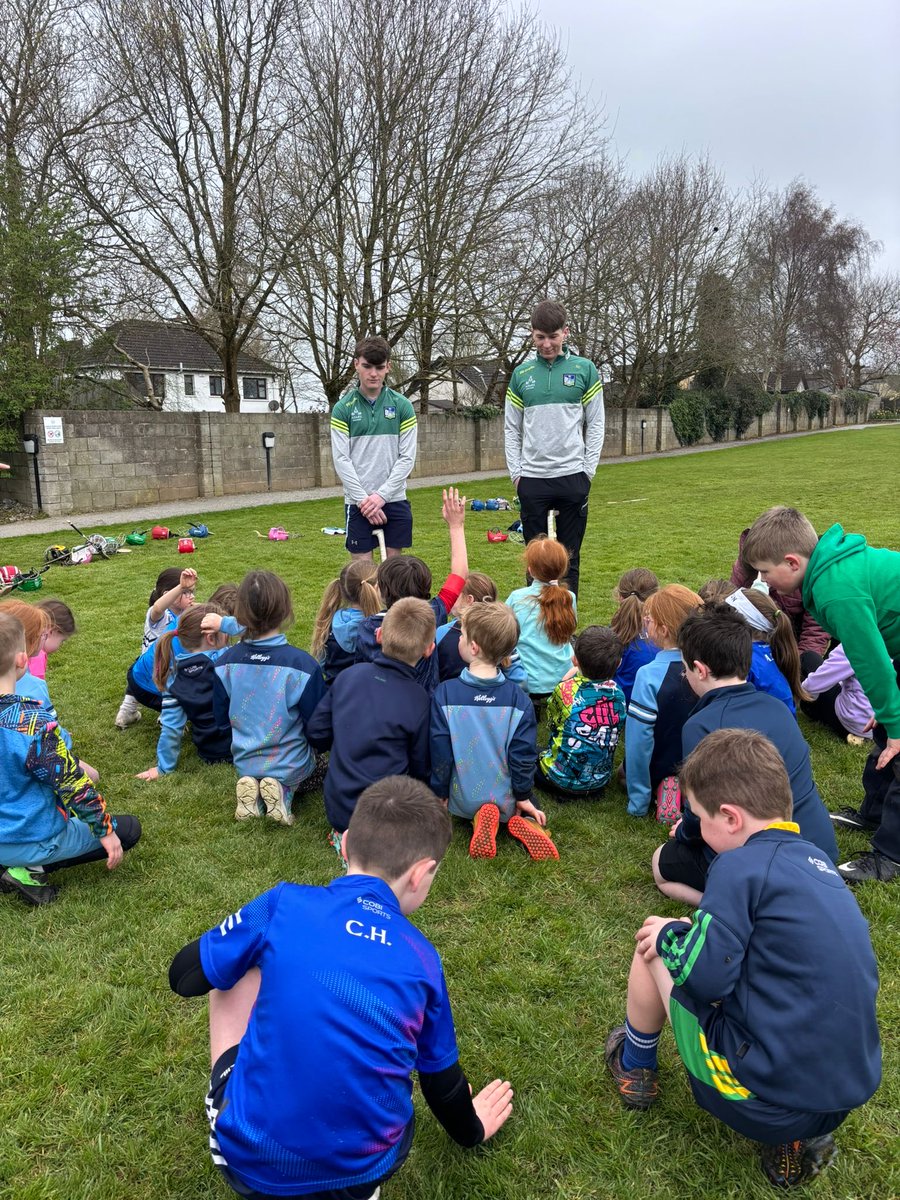 Crecora Manister GAA tweet media