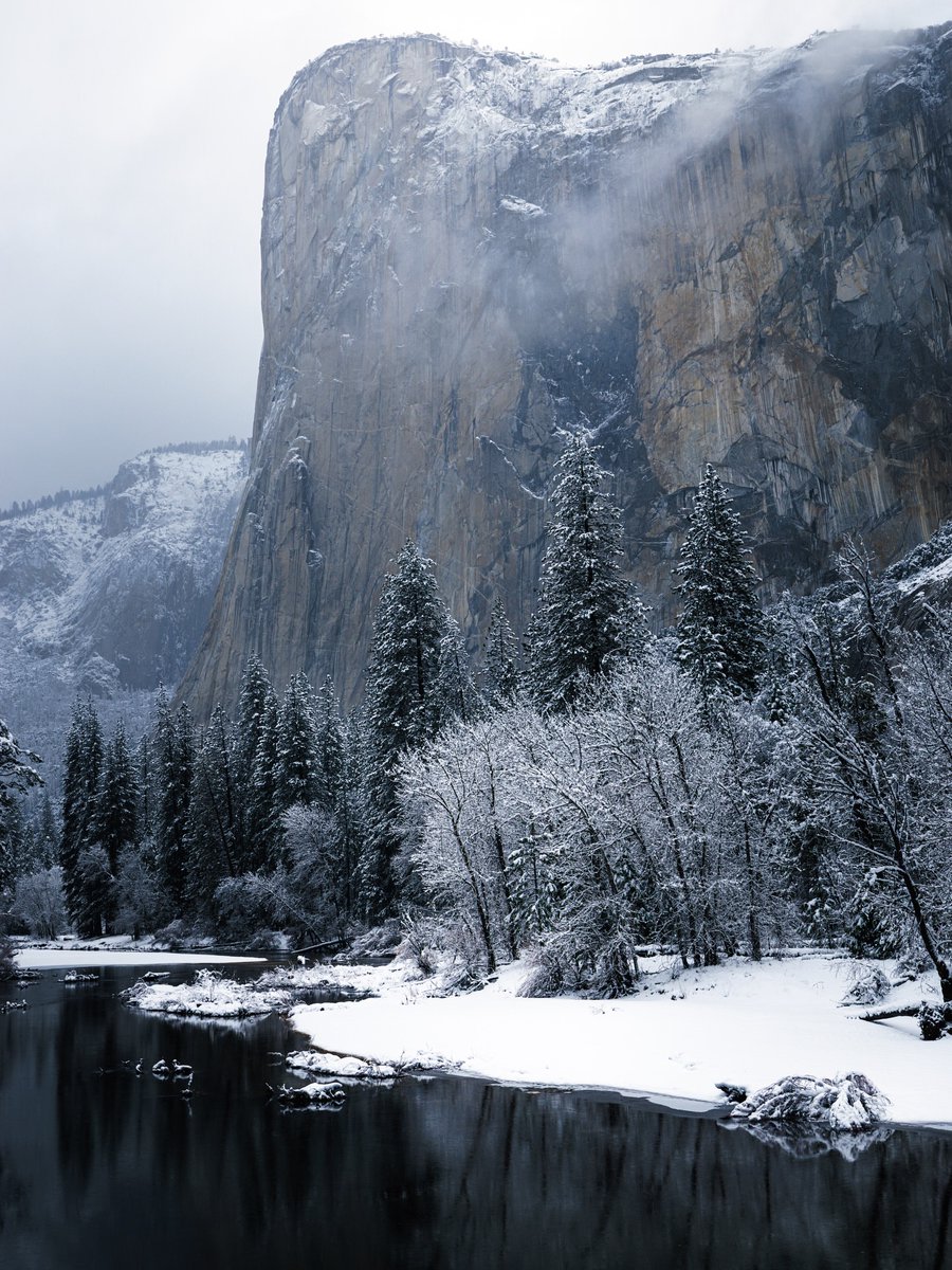 Purely Green tweet media