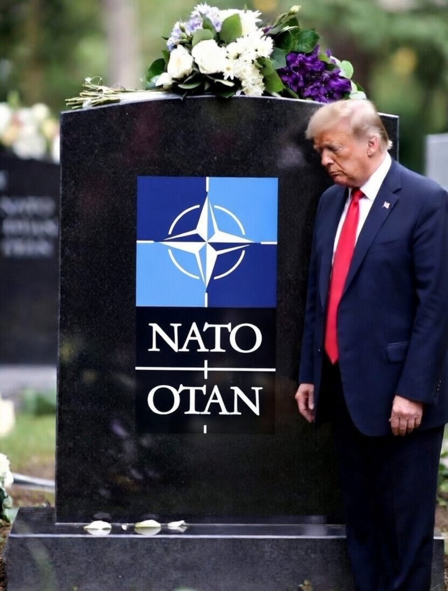 Aleksey The Great 🇷🇺🎖 tweet media