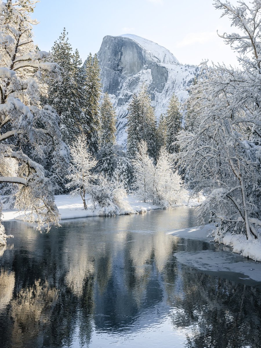 Purely Green tweet media