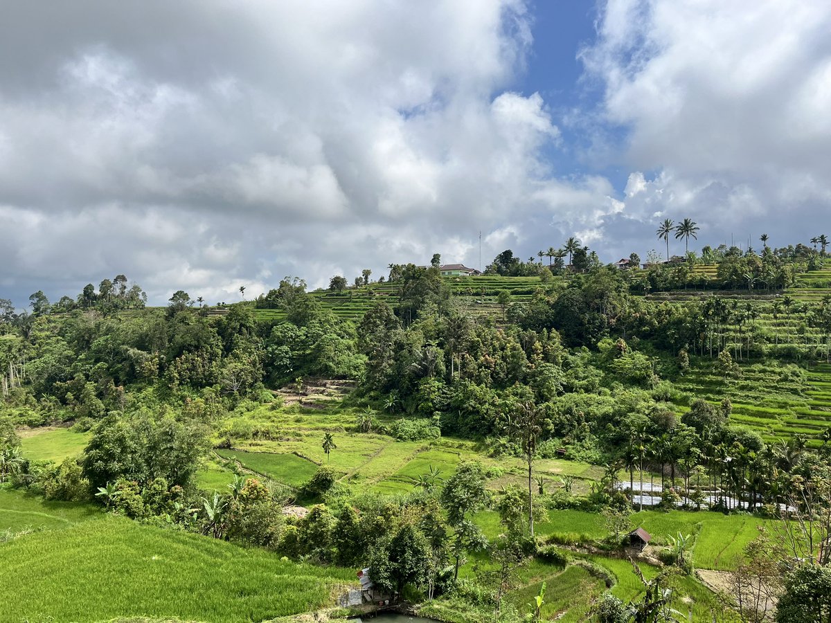 Fendi #RobohKuilHaram tweet media