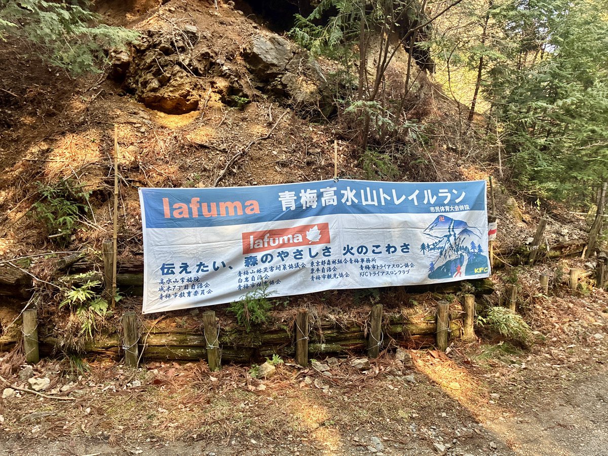 うさぎのようなもの tweet media