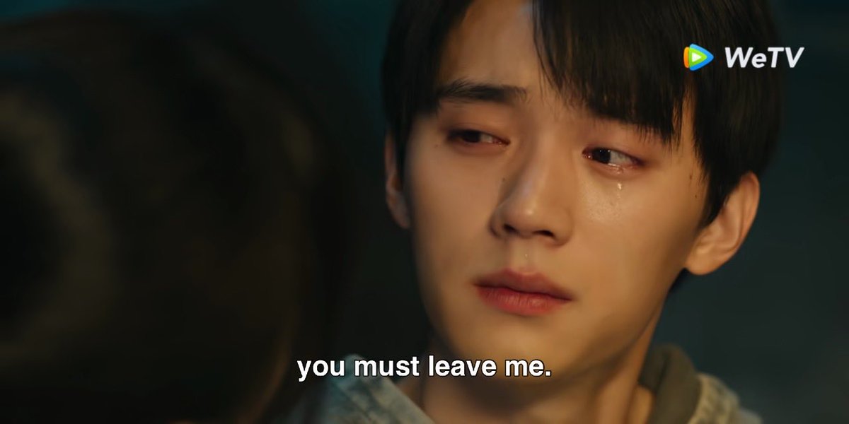 miraa 🕊️ tweet media