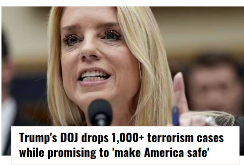 Brown Eyed Susan tweet media