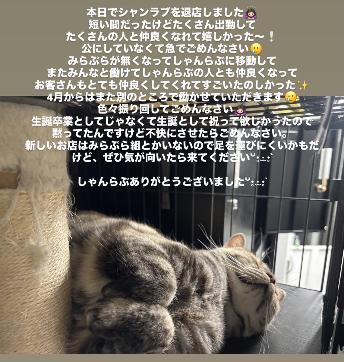 ぴこサァン tweet media