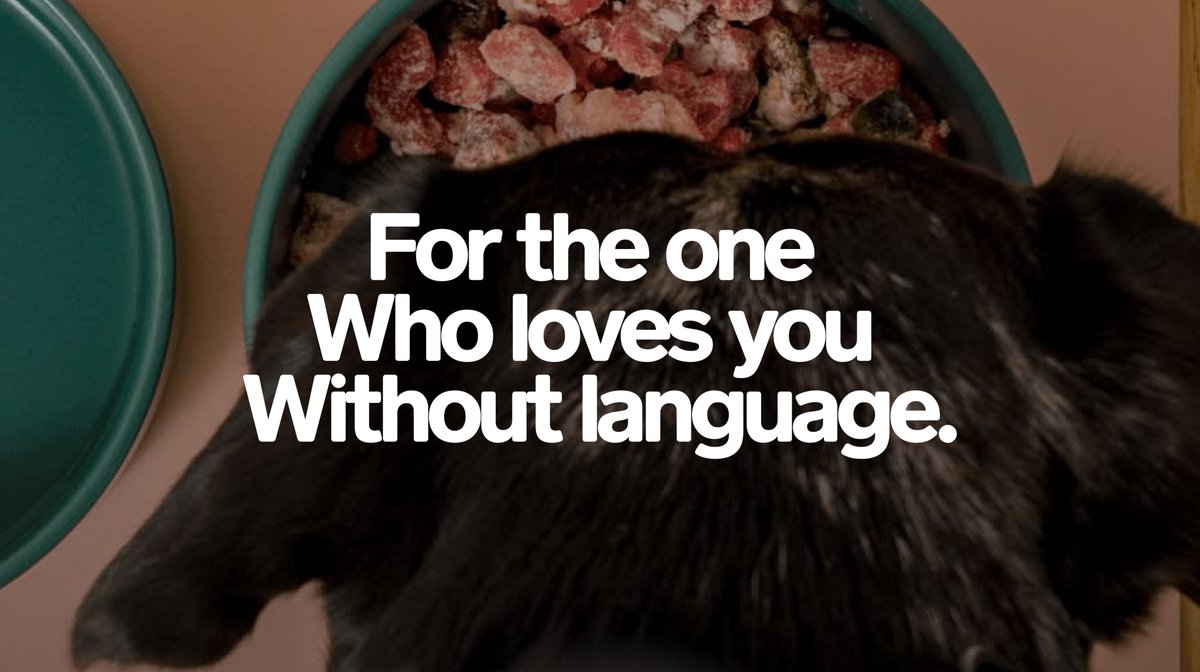 CREATIVECUE™ tweet media