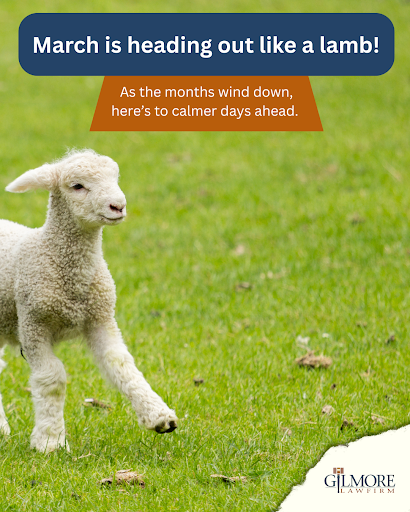 GilmoreLawAL's tweet image. 🦁➡️🐑 March is heading out like a lamb! As the month winds down, here’s to calmer days ahead. Gilmore Law Firm is here for you through every season — roaring or peaceful. ⚖️🌷 #GilmoreLawFirm #March #SpringForward