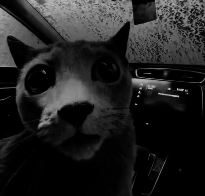 Theycallmenines (Debut April 1st) tweet media