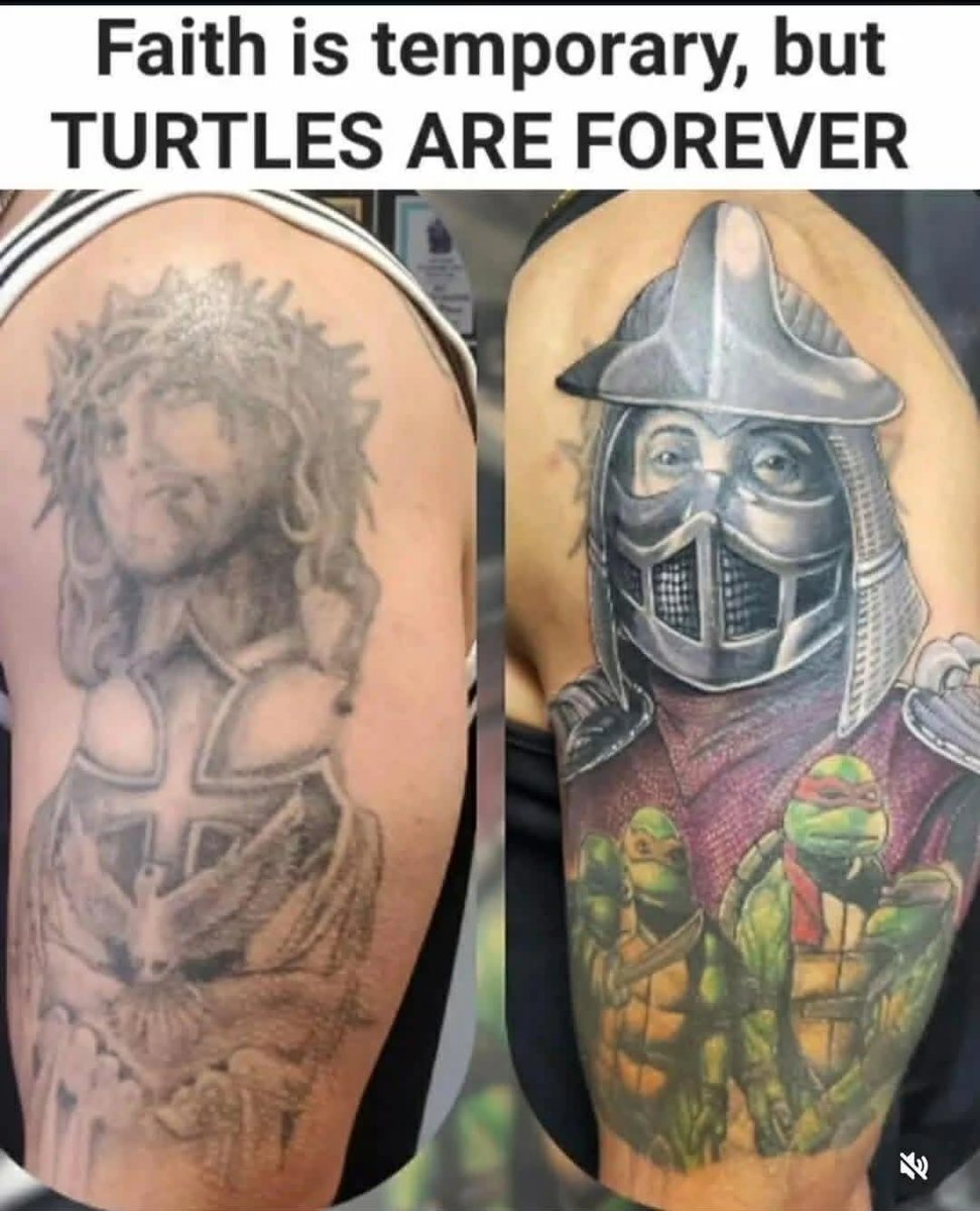 Turtle_Lair tweet media