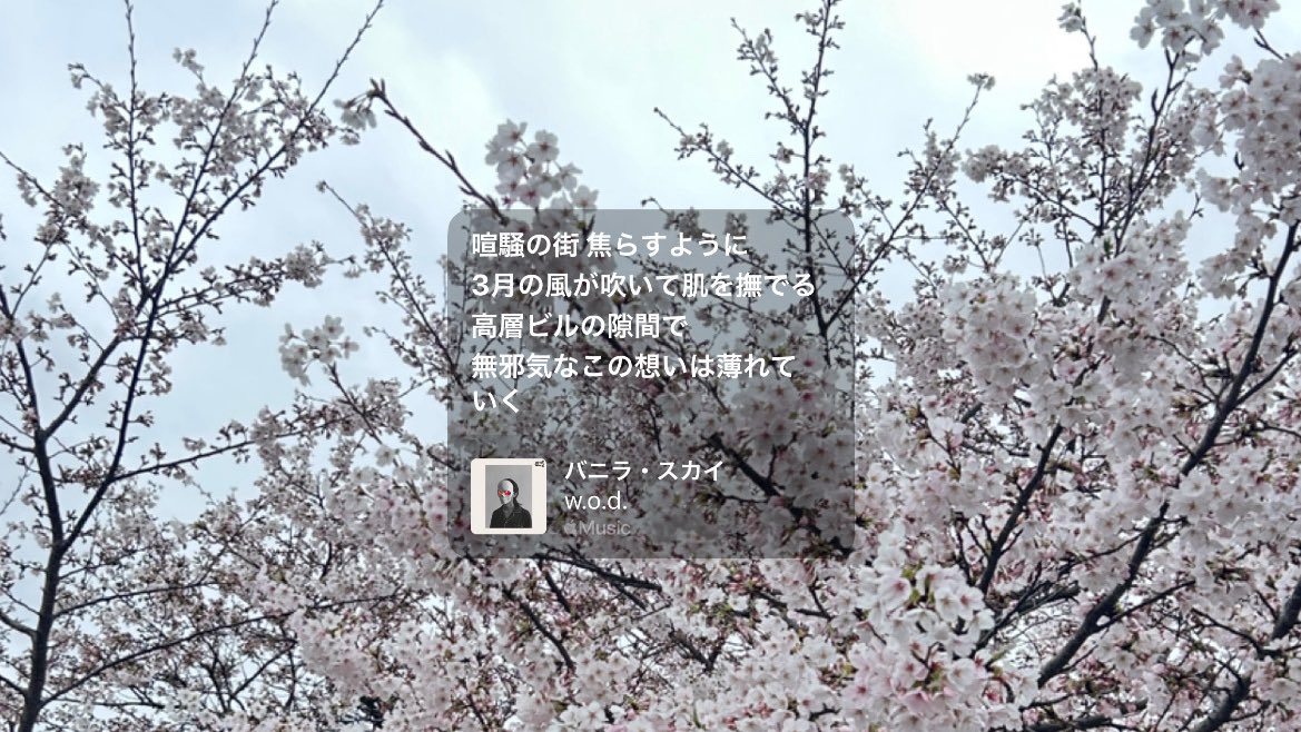 海 tweet media